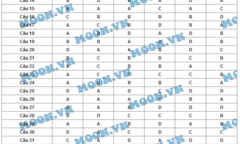 Đáp án đề thi môn Hóa học mã đề 836 tốt nghiệp THPT quốc gia 